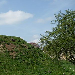 Fotheringhay Castle</a><br>Sum awarded £5,000